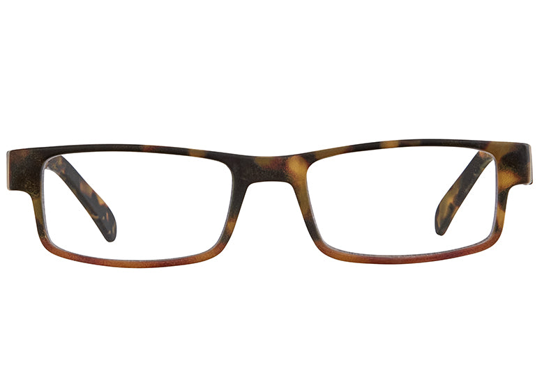 Joey Reading Glasses