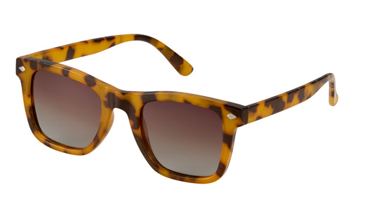Biscayne Polarized Sunglasses