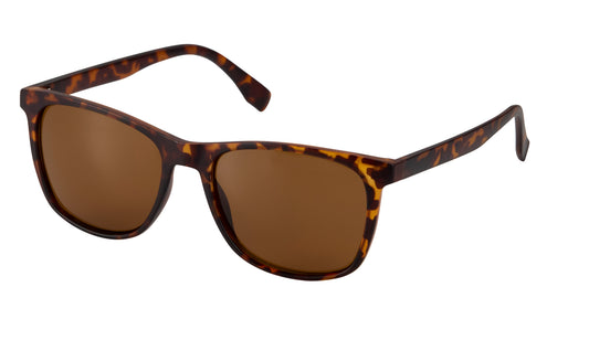 Reef Polarized Sunglasses